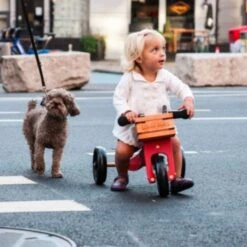 Caisse En Bois Pour Draisienne Kinderfeets® - Draisienne Accessoires -Bois Jouets Magasin caisse en bois pour draisienne kinderfeets draisienne evolutive 4