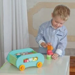 Chariot De Cubes Boite à Forme Sevi 1831 'Mon étang' - Jouets En Bois -Bois Jouets Magasin chariot de cubes boite a forme sevi 1831 mon etang jouets en bois 3