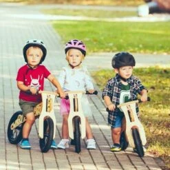 Draisienne En Bois Dip Dap® 10 Pouces 2 Ans Fox Mini Selle Verte - Draisienne Bois -Bois Jouets Magasin draisienne dip dap 10 pouces 2 ans fox mini selle verte draisienne bois 6