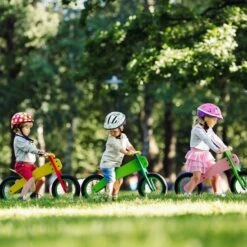 Draisienne En Bois Dip Dap® 10 Pouces Green Spring 'verte' - Draisienne 2 Ans -Bois Jouets Magasin draisienne en bois dip dap 10 pouces green spring verte draisienne 2 ans 6