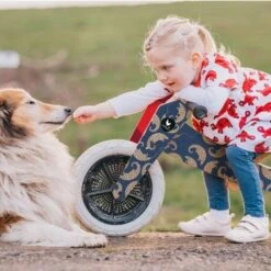 Draisienne En Bois Wishbone Bike® 3 En 1 Pangolin - Draisienne En Bois -Bois Jouets Magasin draisienne en bois wishbone bike 3 en 1 pangolin draisienne en bois 3