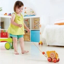 Hape Jouetà Trainer Herisson- Jouets Hape -Bois Jouets Magasin hape jouet a trainer herisson jouets hape 2