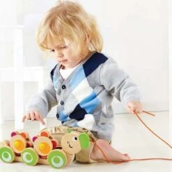 Hape Jouetà Trainer Chenilles & Fleurs - Jouets Hape -Bois Jouets Magasin jouet a trainer chenilles fleurs jouets hape 2