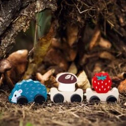 Jouet Train à Pousser La Récolte Du Hérisson Cubika® - Jouets En Bois -Bois Jouets Magasin jouet train a pousser la recolte du herisson cubika jouets en bois 3