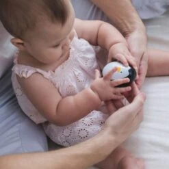 Jouets En Bois Hochet Culbuto Pingouin Dandinant Plantoys® - Jouet Enfants -Bois Jouets Magasin jouets en bois culbuto pingouin dandinant plantoys jouet enfants 2