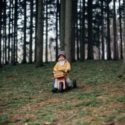 Tricycle évolutif Draisienne En Bois 2 En 1 Tiny Tot 10" Bambou Kinderfeets®- Draisienne 1 An -Bois Jouets Magasin tricycle evolutif draisienne en bois 2 en 1 tiny tot 10 bambou kinderfeets 3