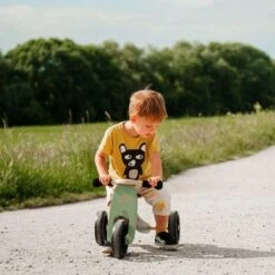 Tricycle évolutif Draisienne En Bois 2 En 1 Tiny Tot 10" Vert Kinderfeets® - Draisienne évolutive -Bois Jouets Magasin tricycle evolutif draisienne en bois 2 en 1 tiny tot 10 vert kinderfeets draisienne evolutive 7